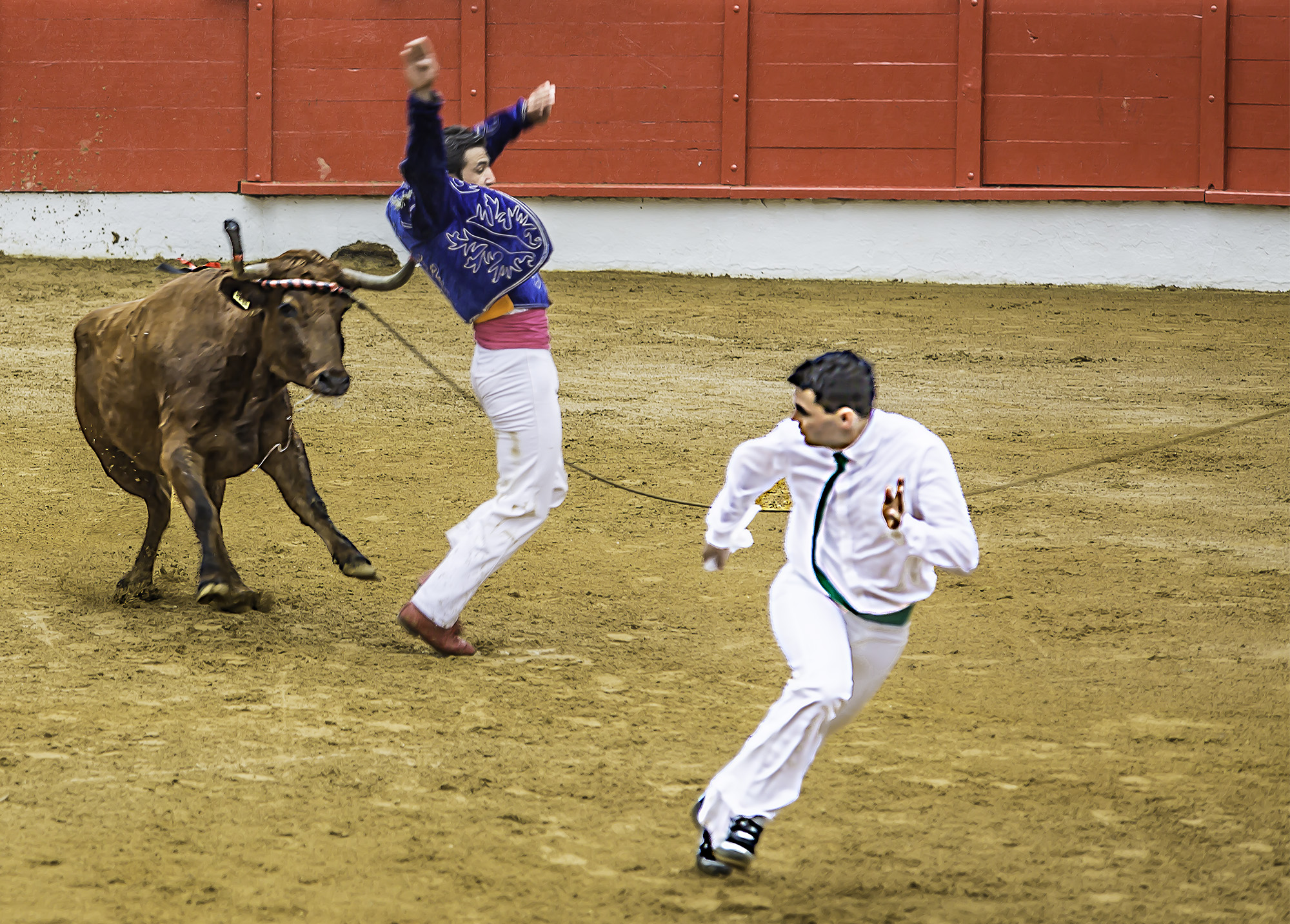 9 Louis Navarro 1bis 011017.jpg