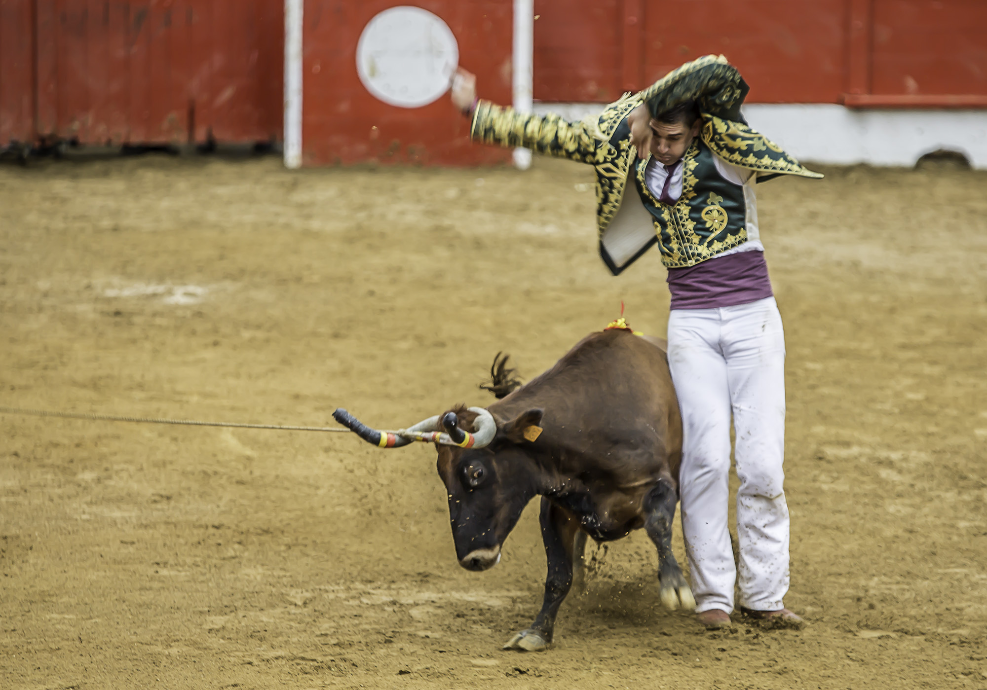 18 Cyril Dunouau 1bis 011017.jpg