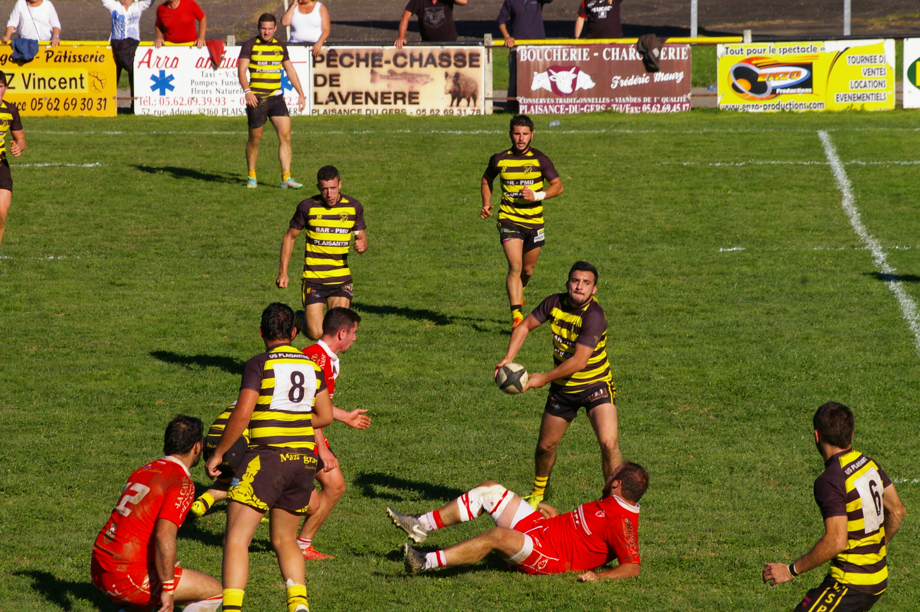 IMGP6133.JPG