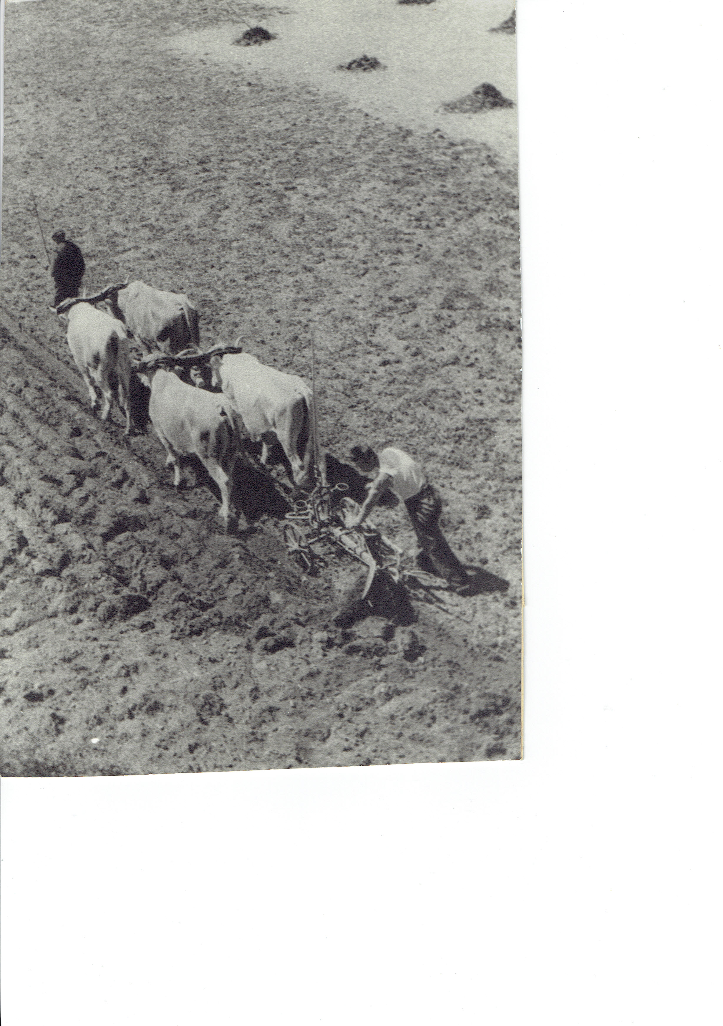 CCI19102017_0001.jpg
