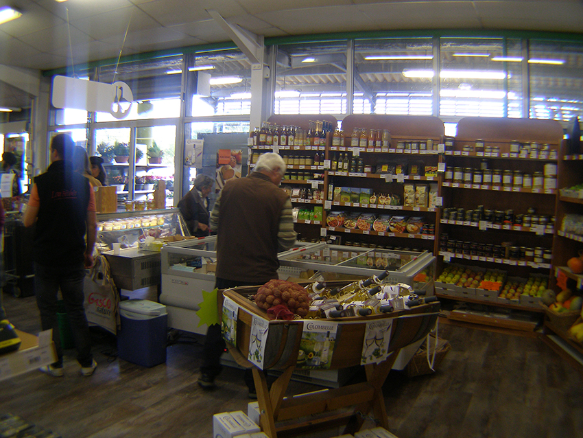 P1010004.JPG