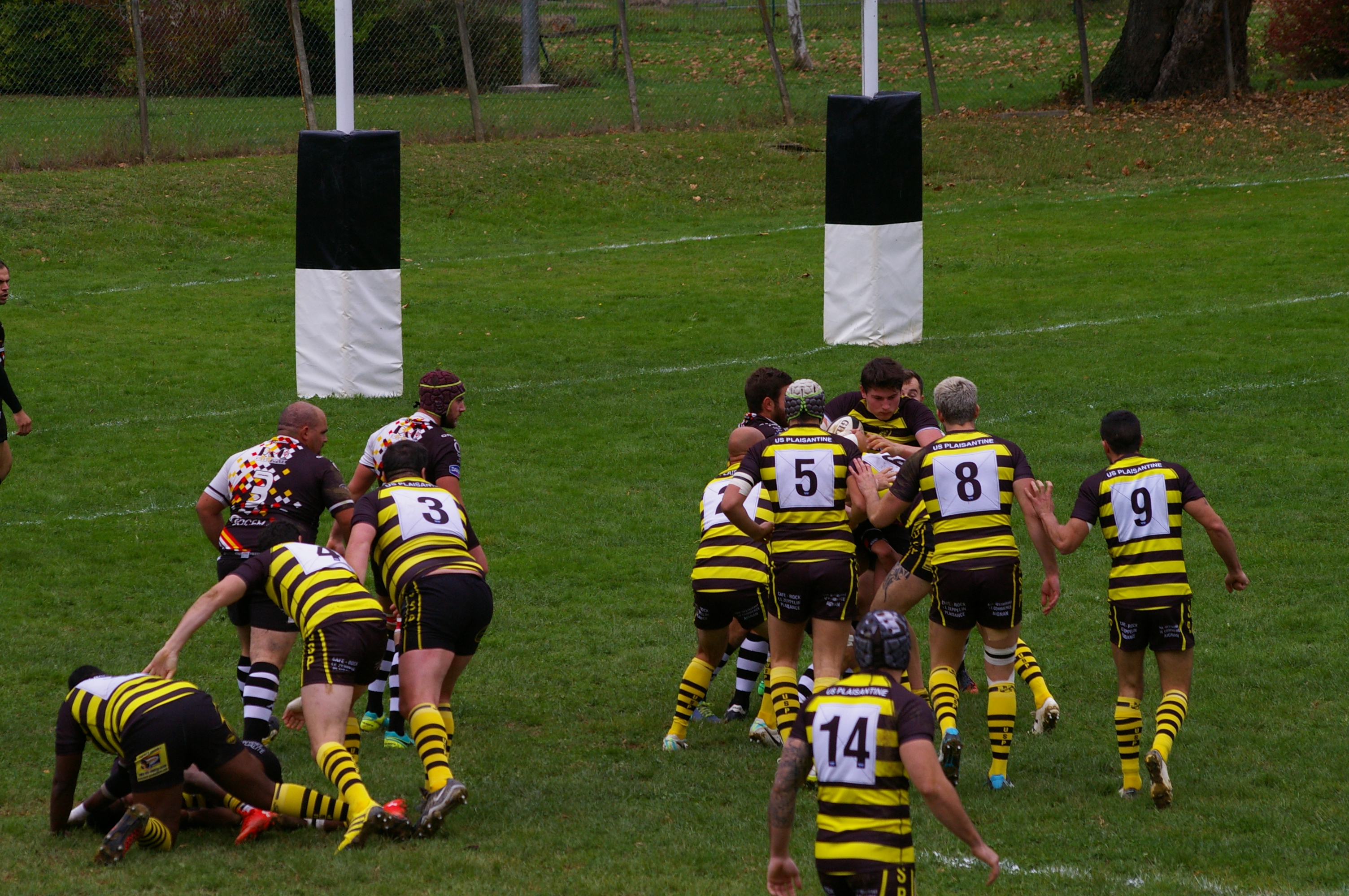 IMGP6237.JPG