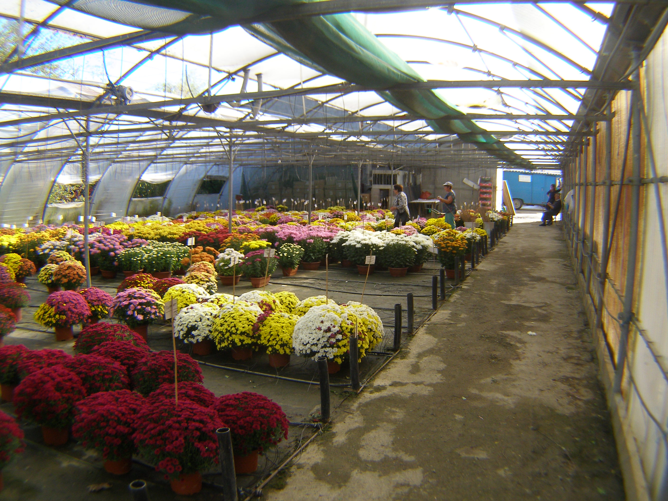 PA260004.JPG