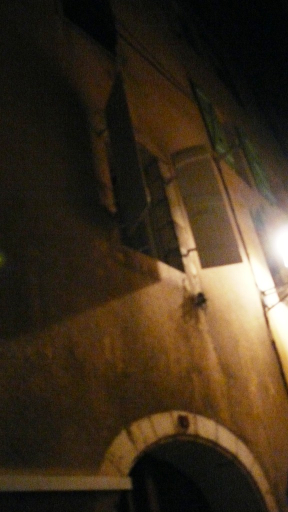 P1370102.JPG