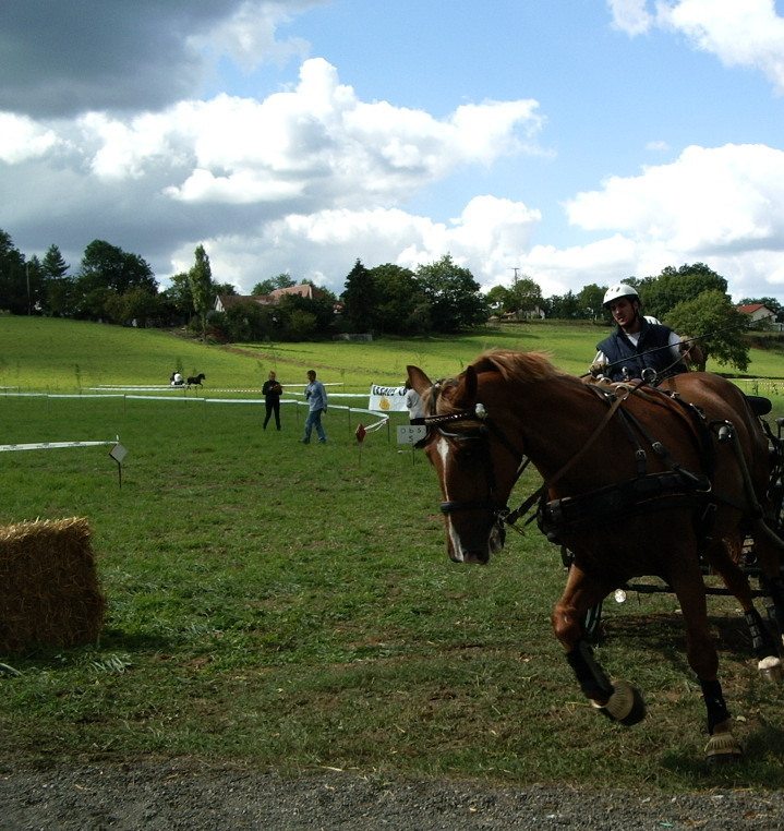CHEVAL ARCHIVES 2005-09-17 006.JPG