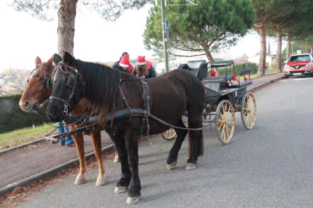PROPENADE EN CALECHE.jpg