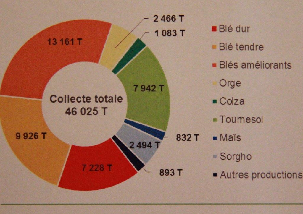 GRAPHIQUE PARLANT.JPG