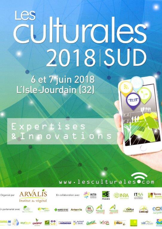 culturales 2018 sud .JPG