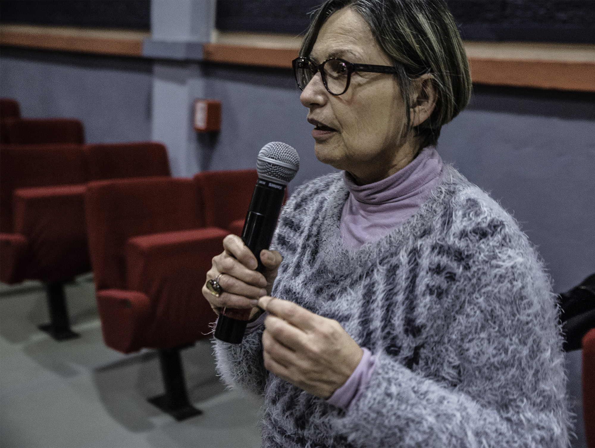 3 Jocelyne Sanson 1bis 131217.jpg