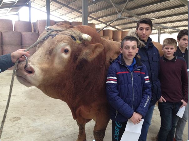 lycee agri betail.JPG