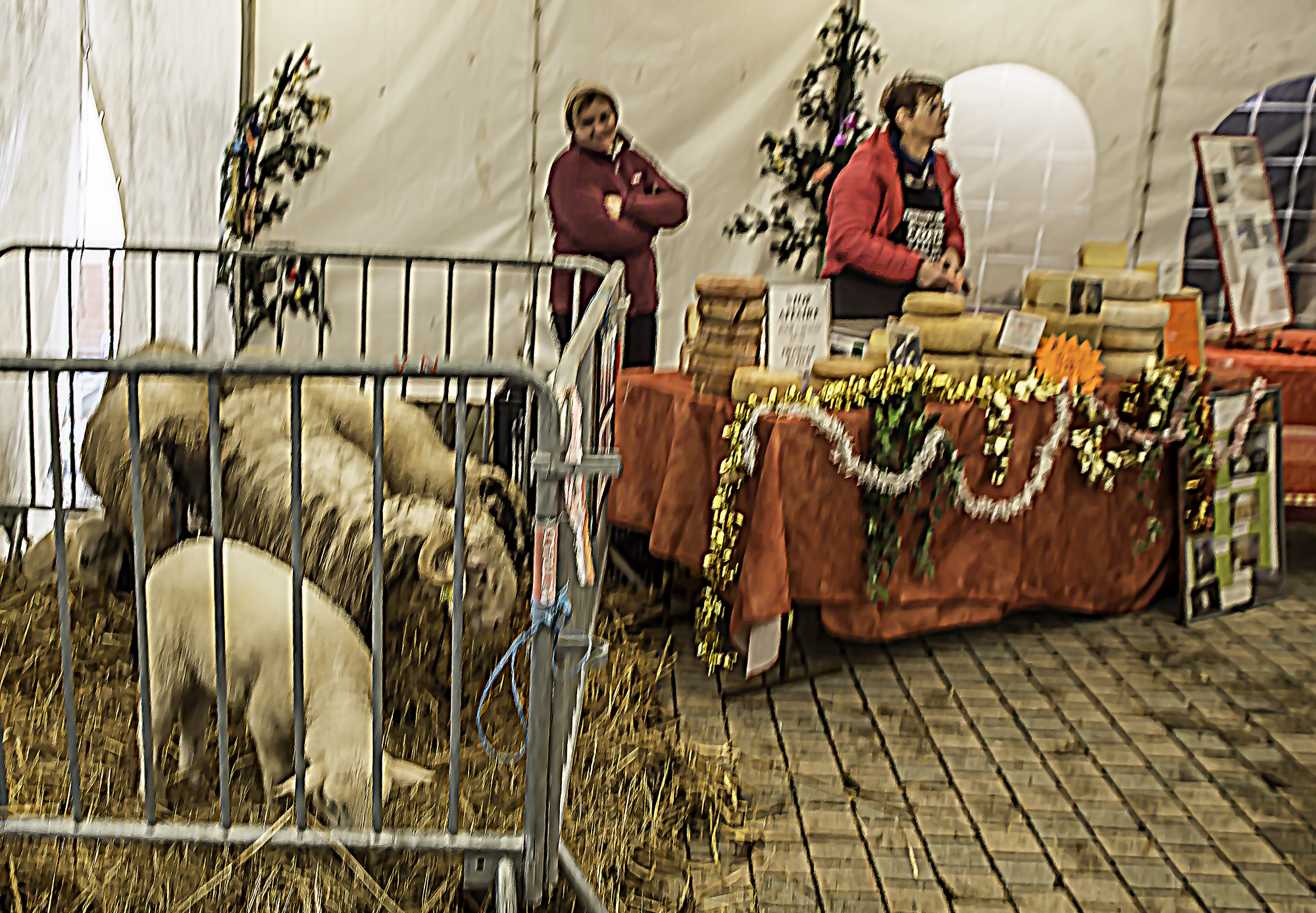 4 Fromage et brebis du Domaine Cauzette 1bis 171217.jpg