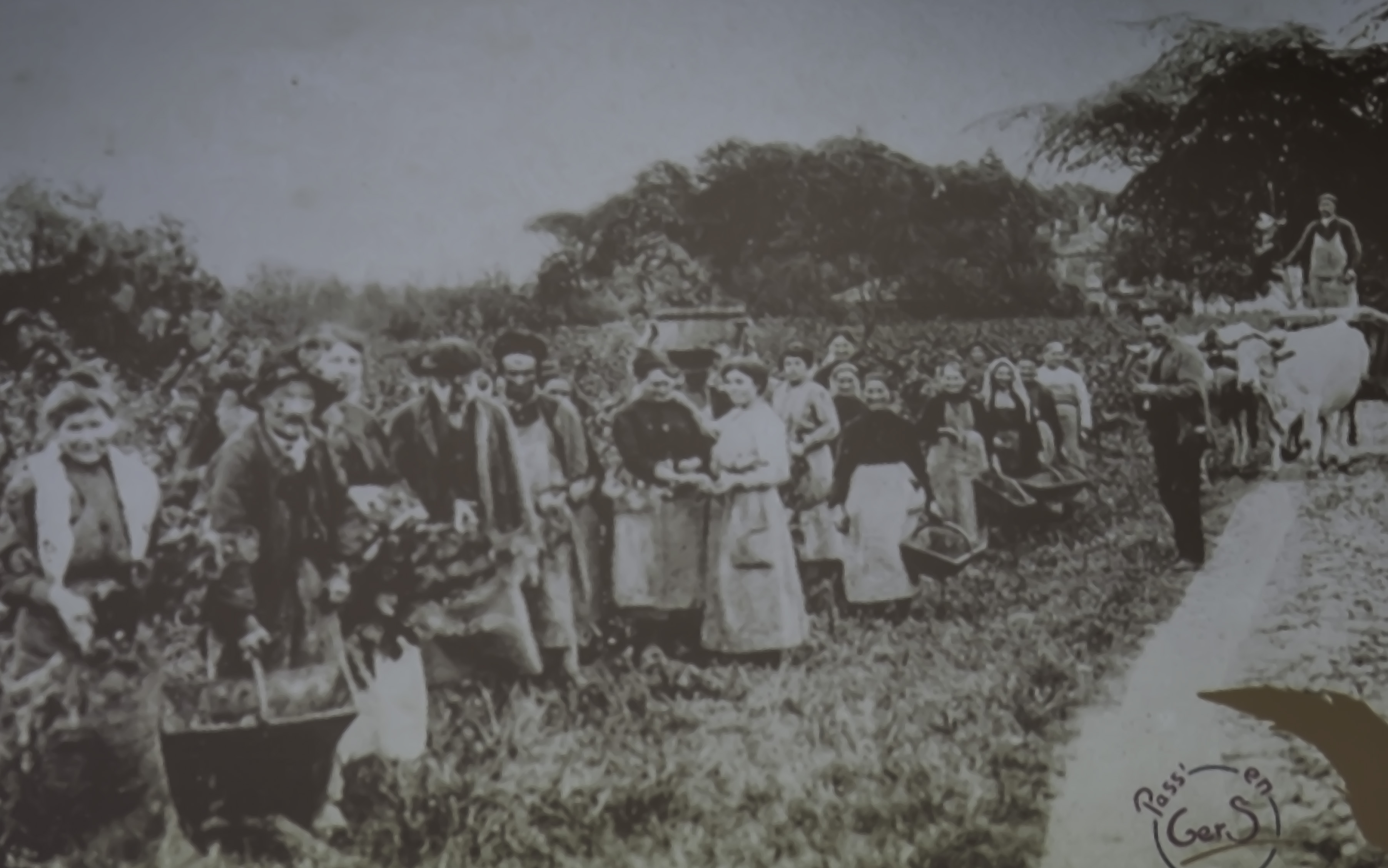 2 Vendanges document projeté par la conférencière 1bis 301217.jpg