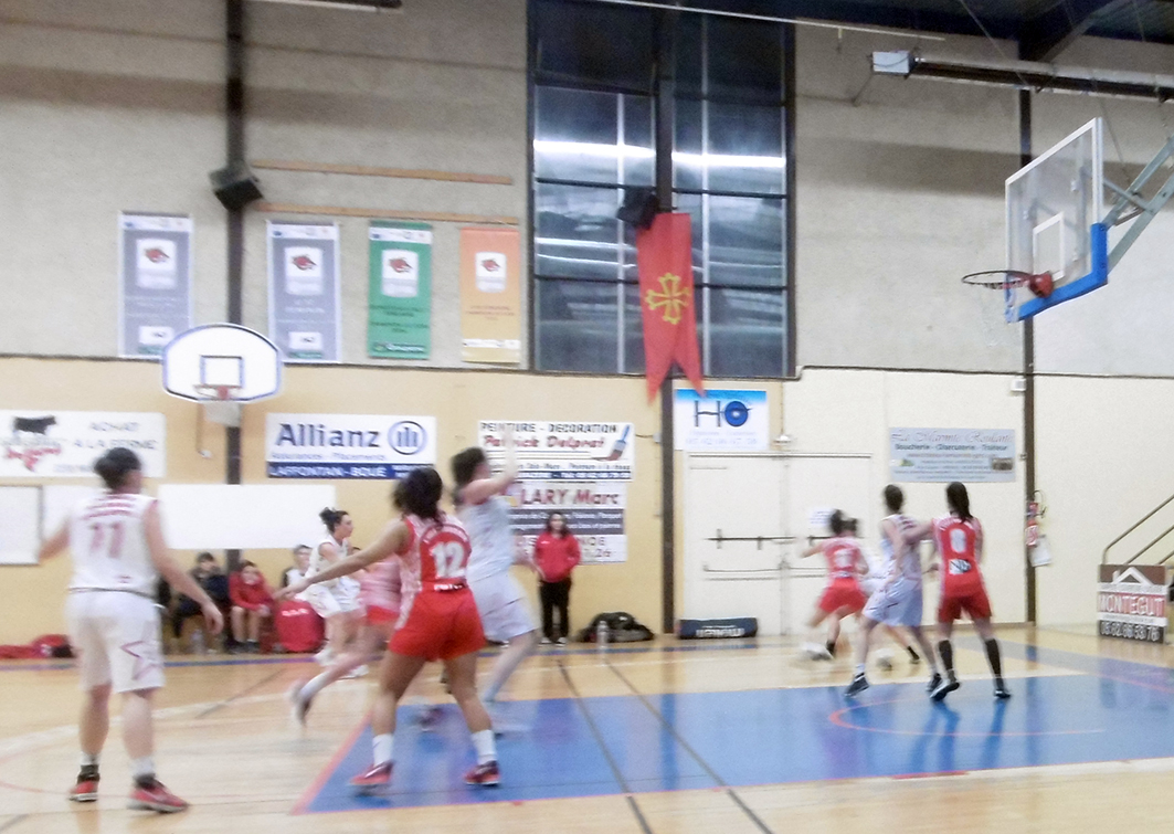 P1000433.JPG