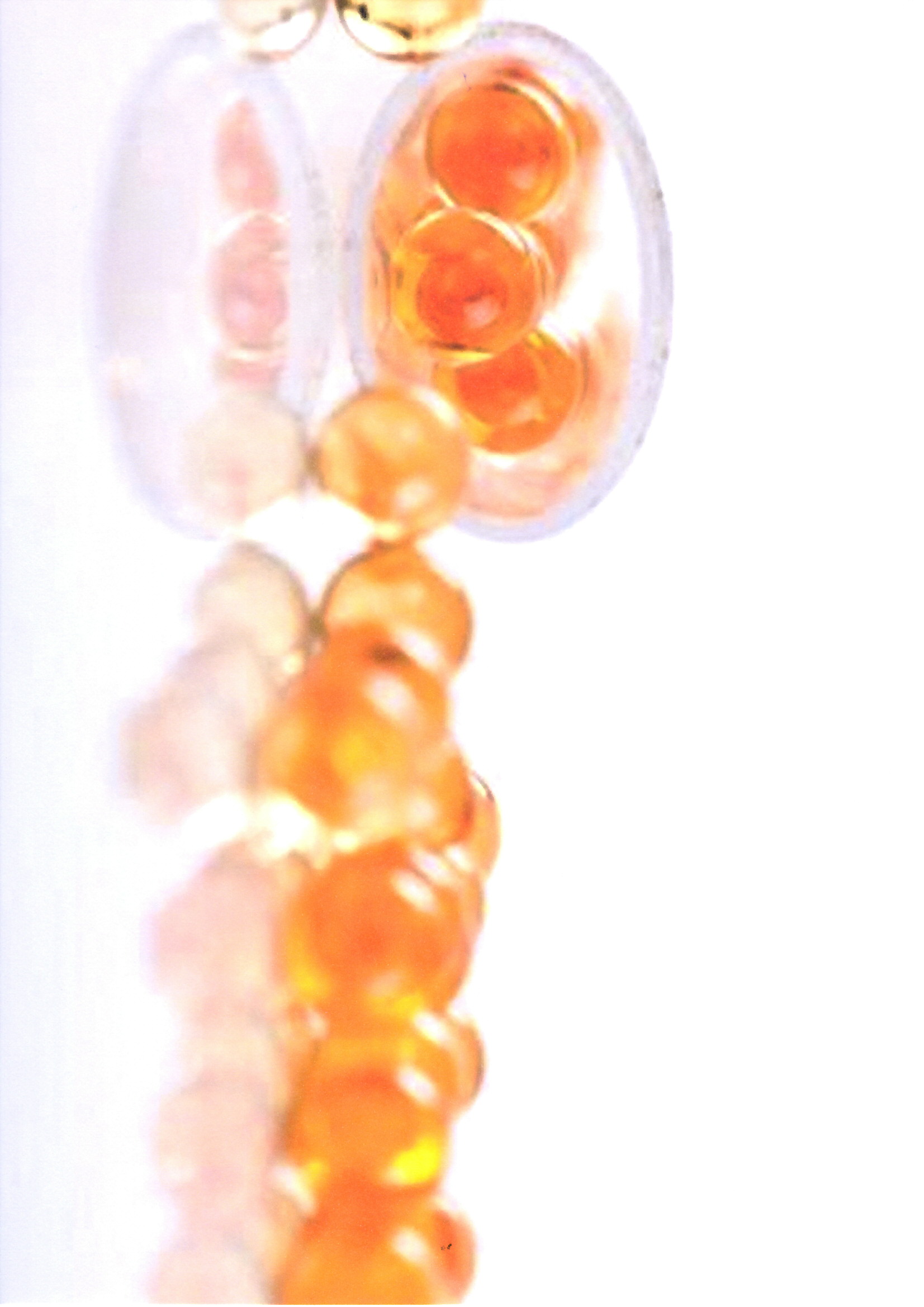 nouveau médicament prochainement utilisable le TCAPS en gélules (2).JPG