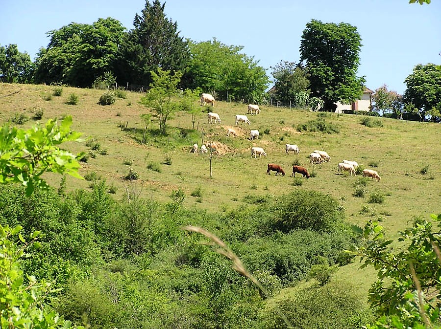 ferme.jpg