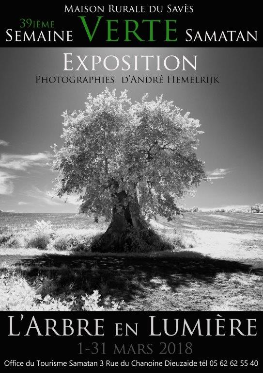 Affiche expo mars semaine verte (2).jpg