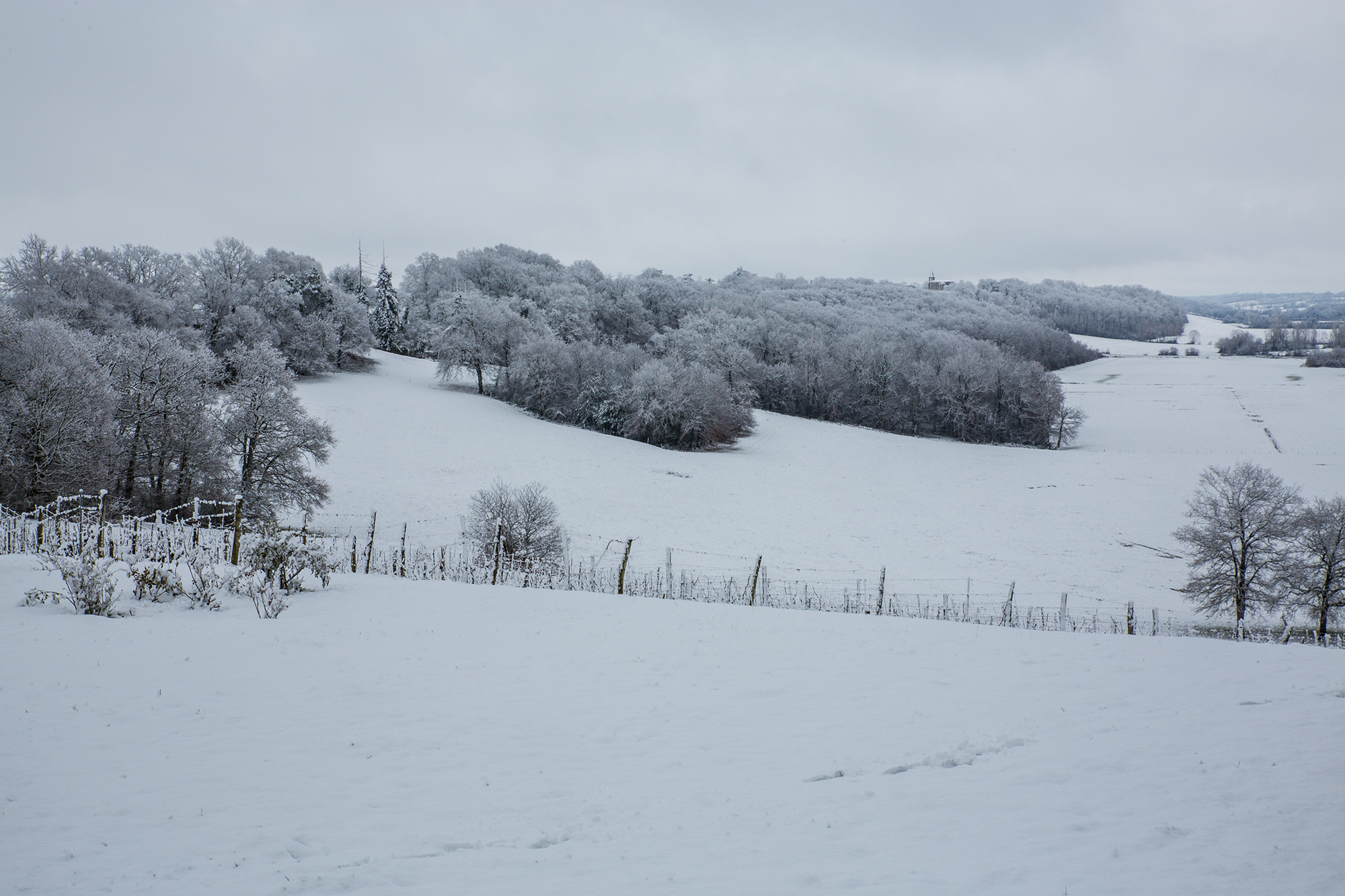 3bis même paysage en 2009.jpg