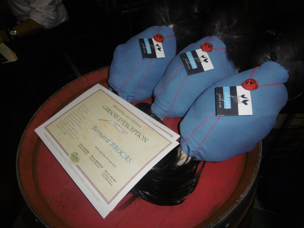 P1000694.jpg