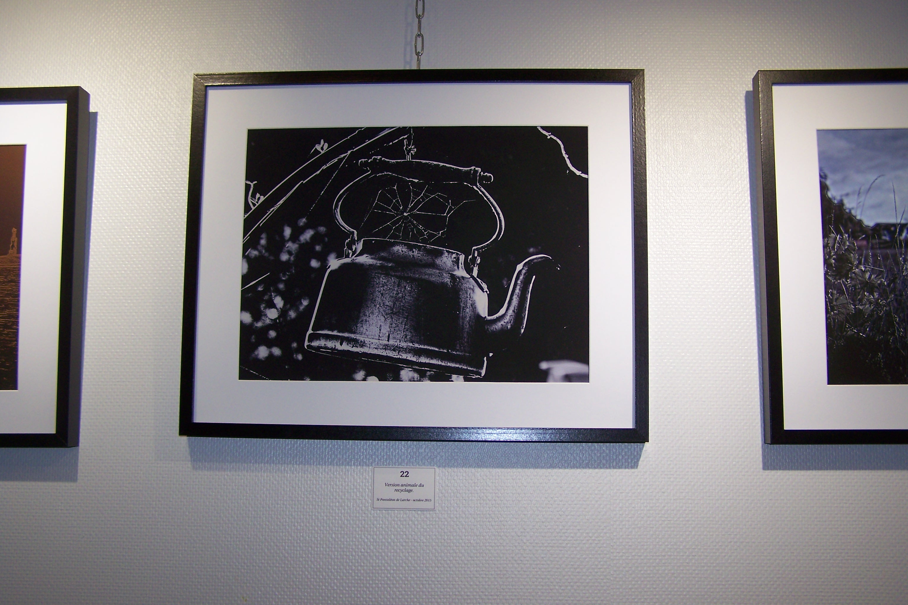 William Massias expose à l'OT de l'Isle-Jourdain 001.JPG