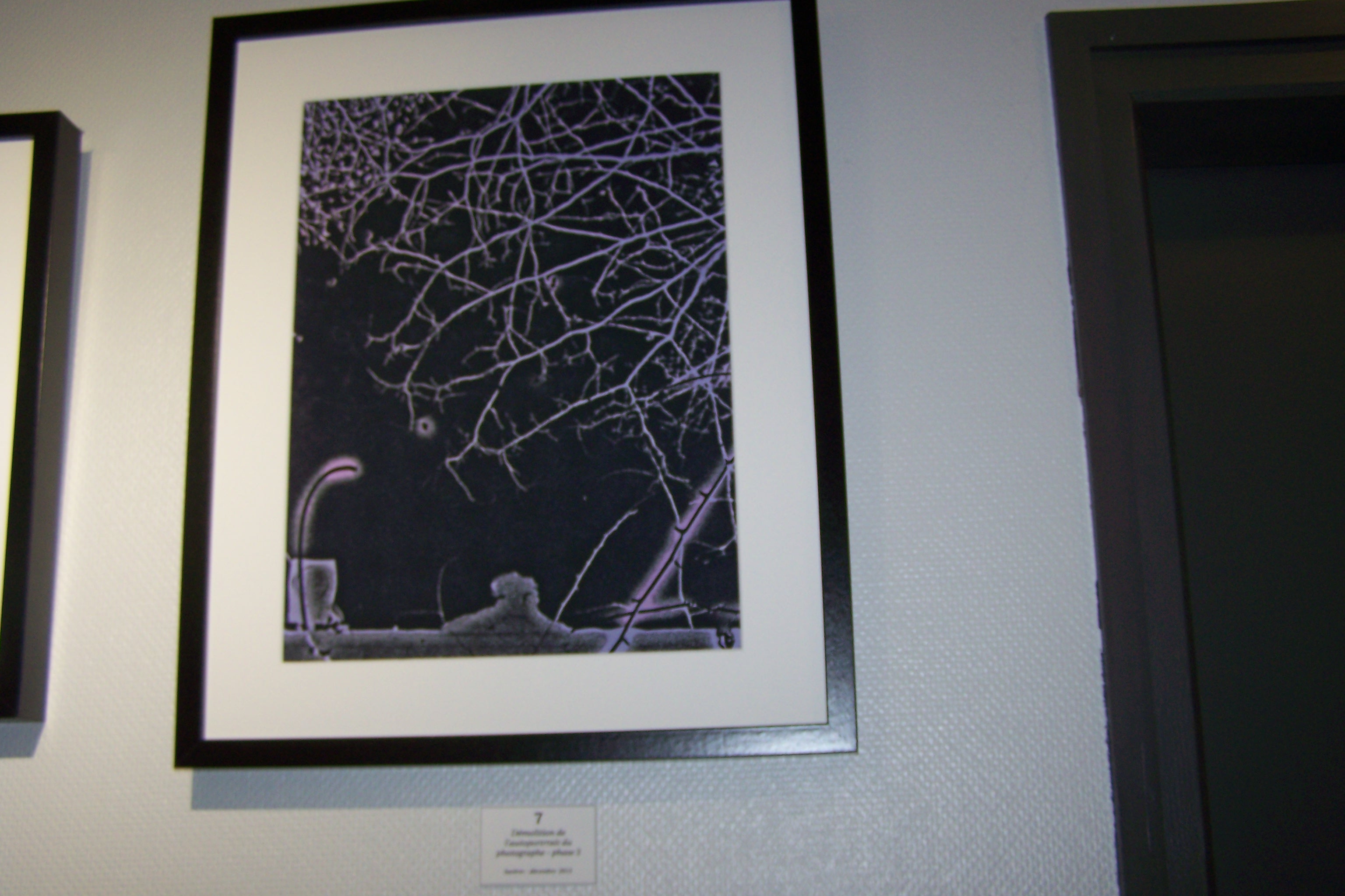 William Massias expose à l'OT de l'Isle-Jourdain 008.JPG