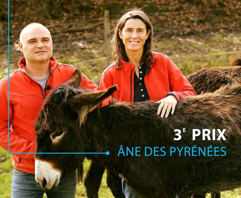 ceva france.jpg