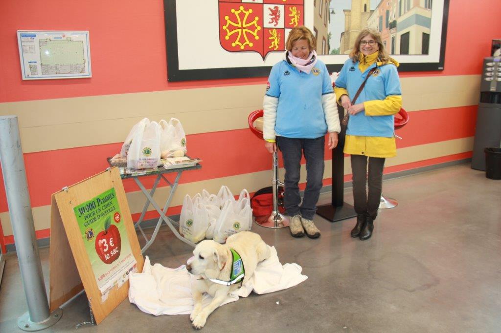 OPERATION VENTE DE POMMES POUR OBTENIR UN CHIEN GUIDE D'AVEUGLE.JPG