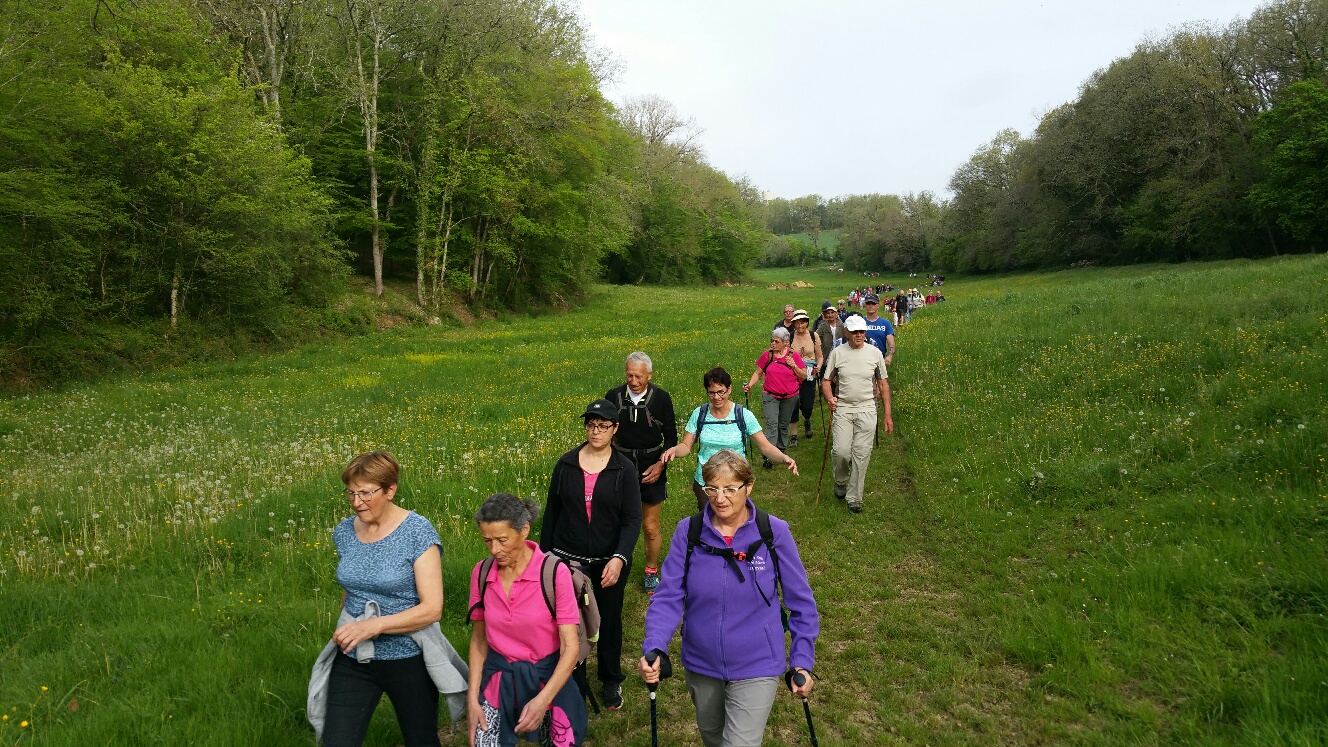 Rando Aubépine JL 22-04-2018 (8).jpg
