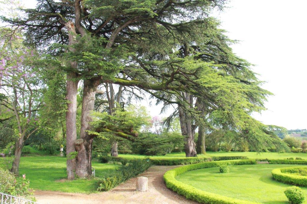 vues des jardins (4).JPG