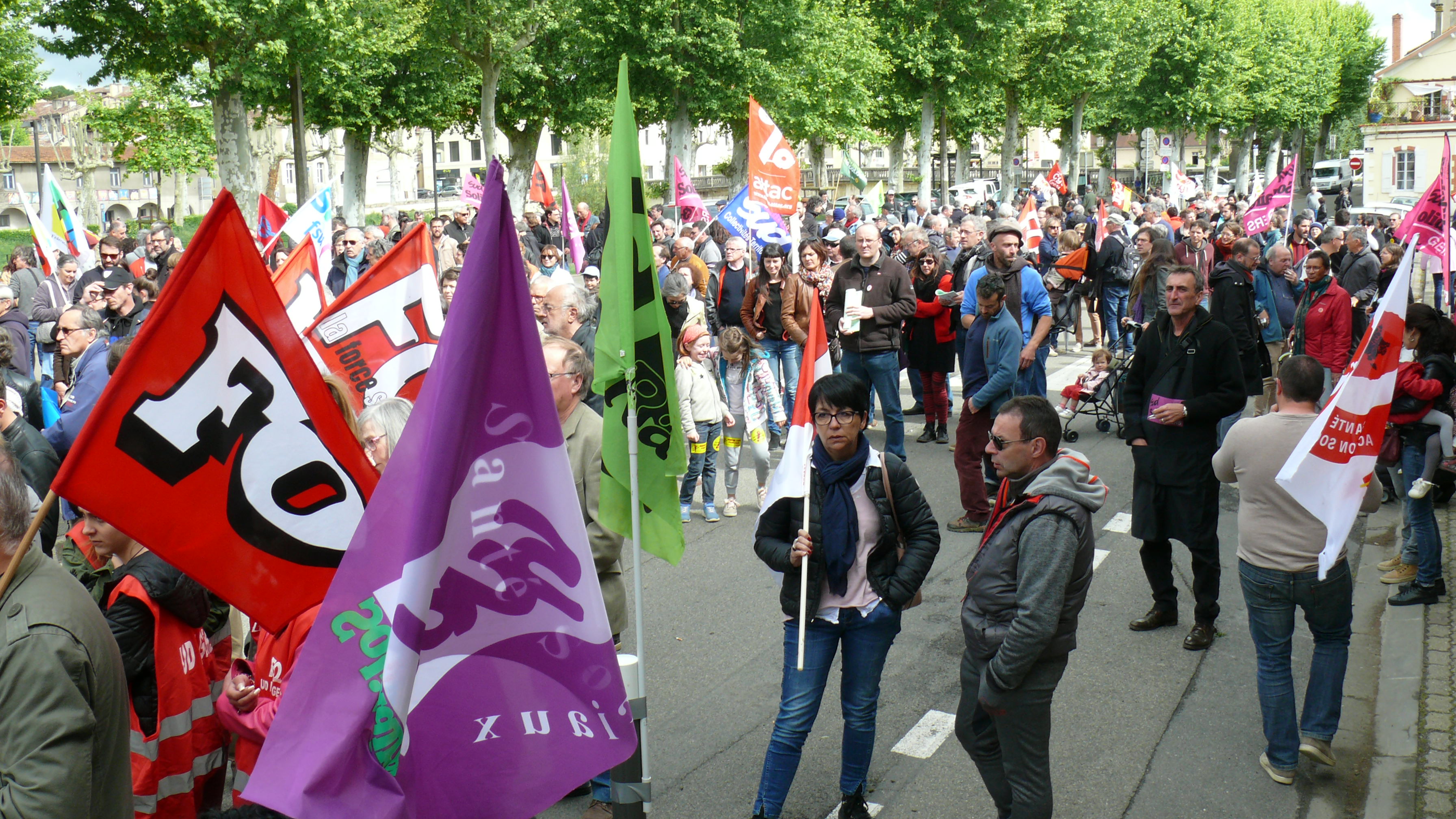 P1420347.JPG