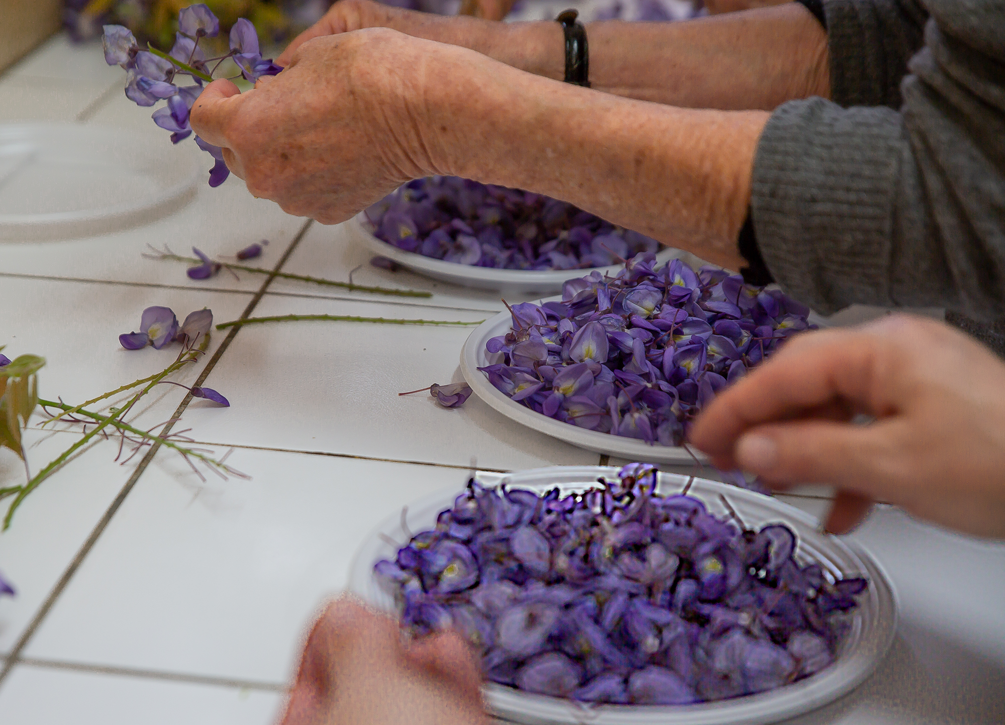 5 Séparation des fleurs 1bis 020518.jpg