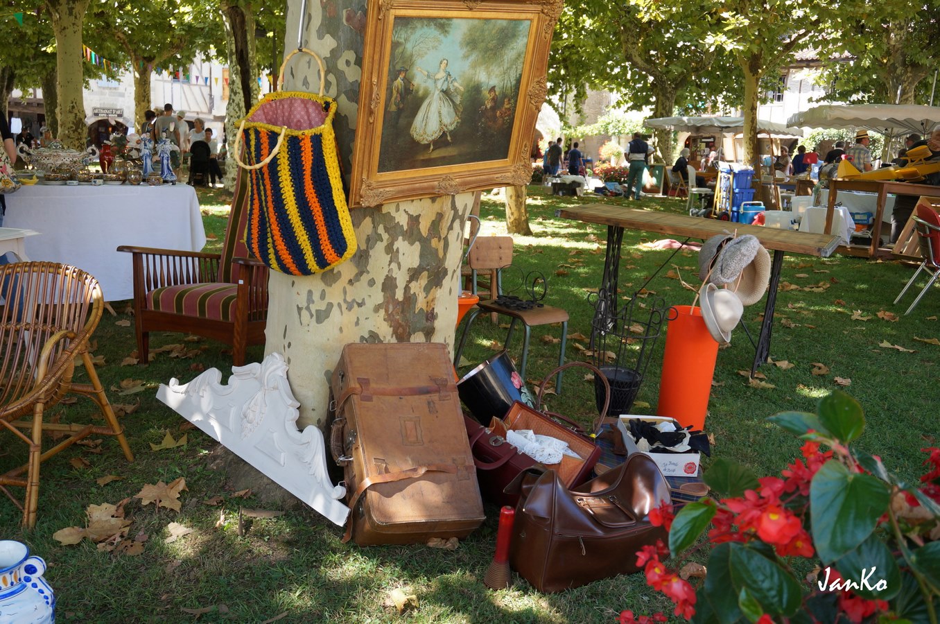 DSC09640 (Copier).JPG