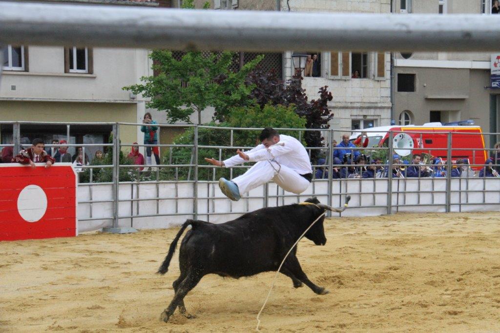 IMG_6674.jpg