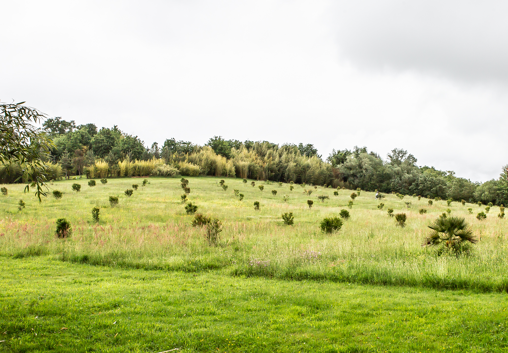 6 Jardin mosaïque aux 5 couleurs 1bis 120518.jpg