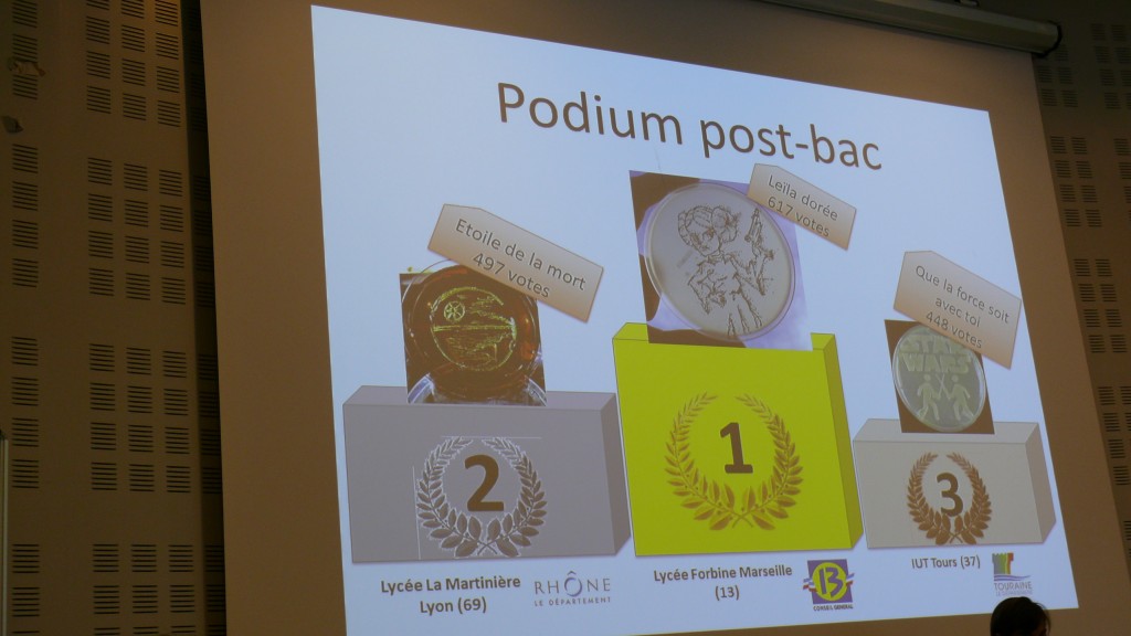 P1420823.JPG