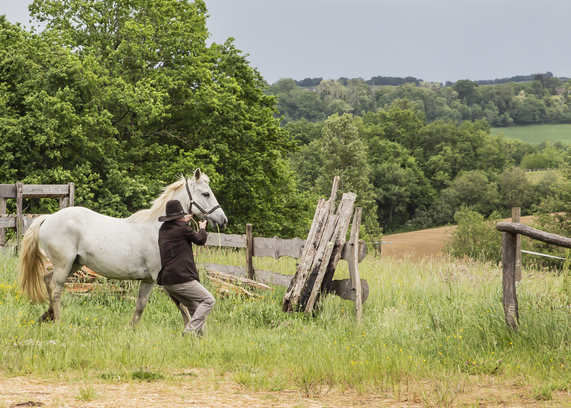 4 Marc Vayrac maîtrise son cheval 1bis 190518.jpg