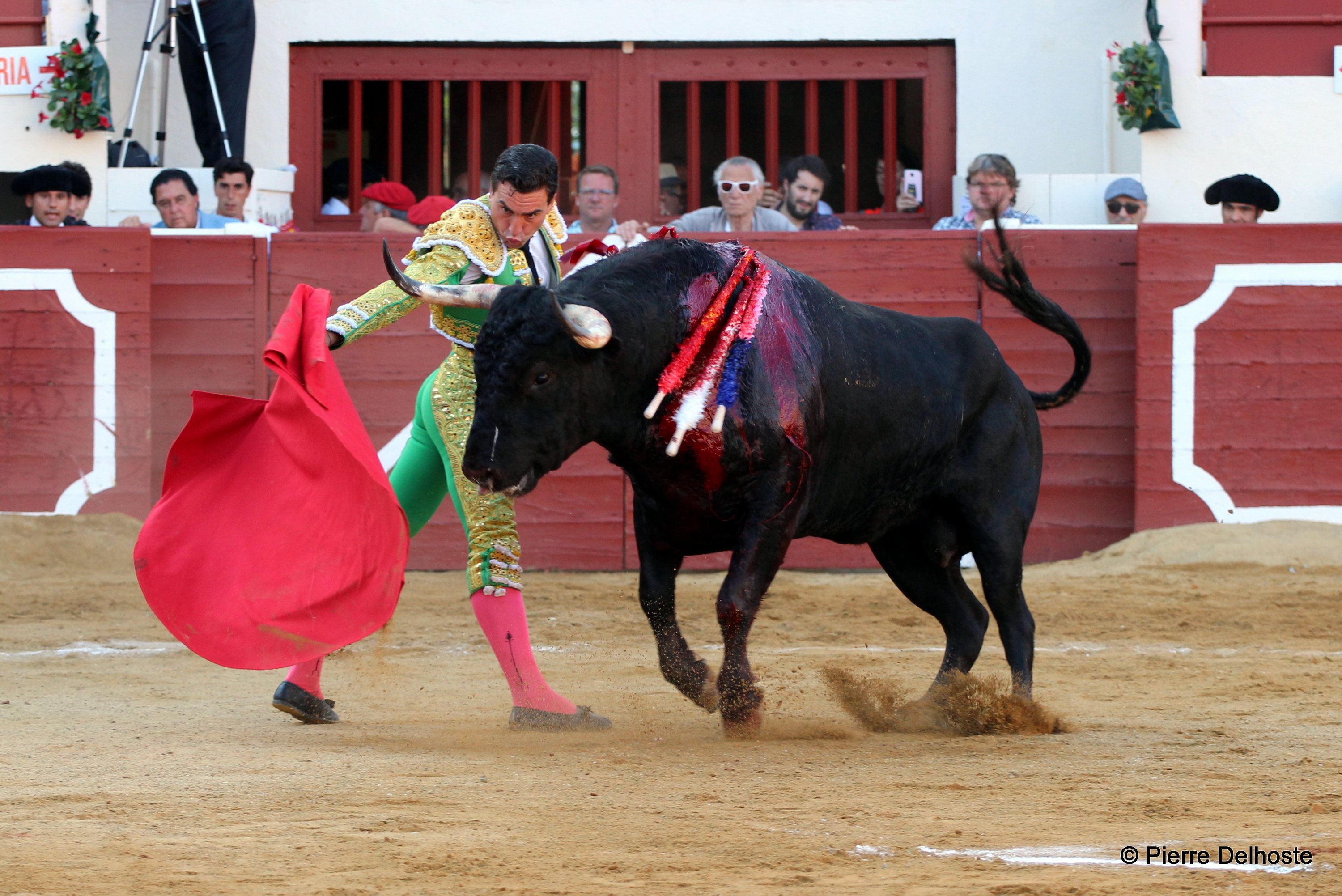 chacon.JPG