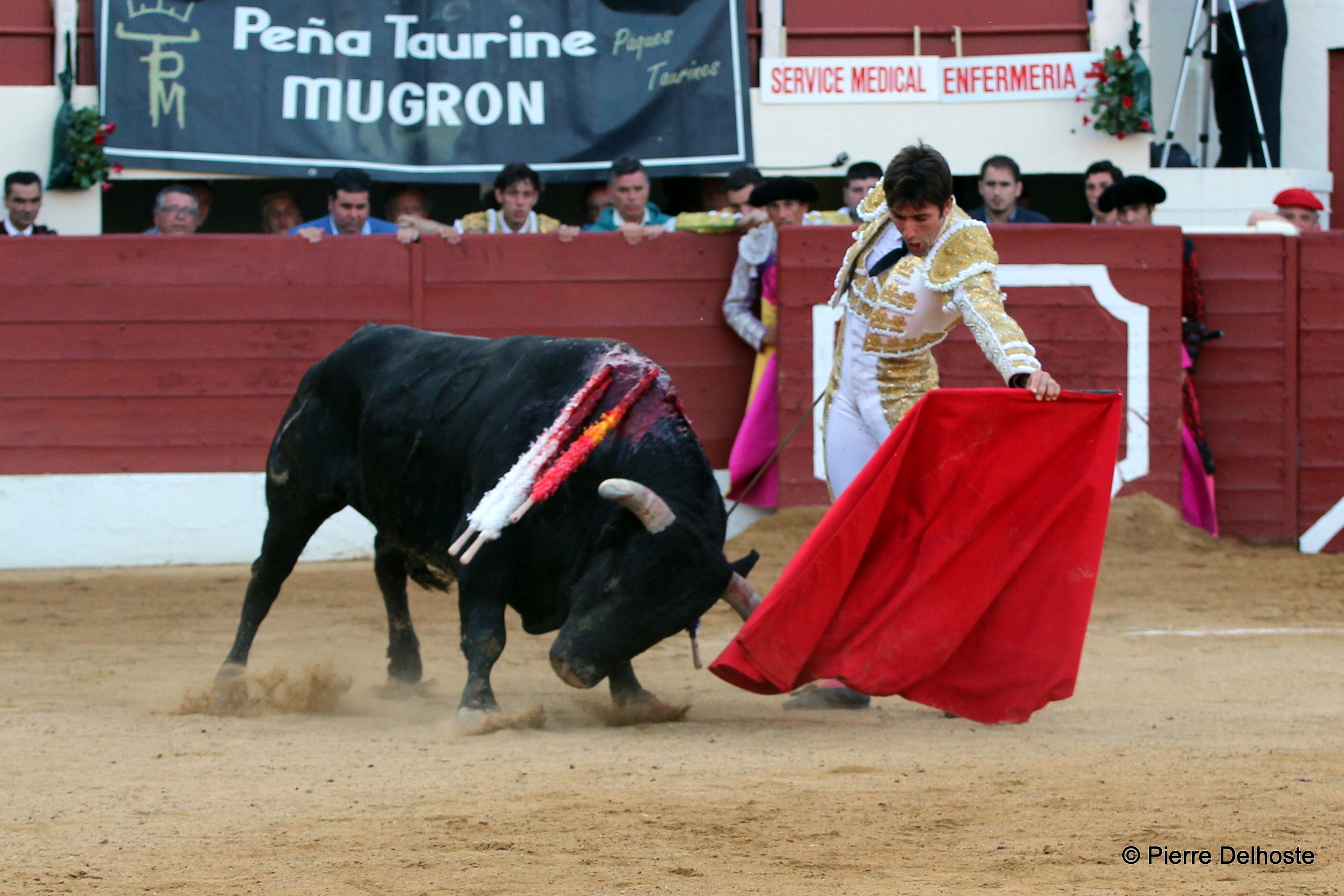 lamelas.JPG