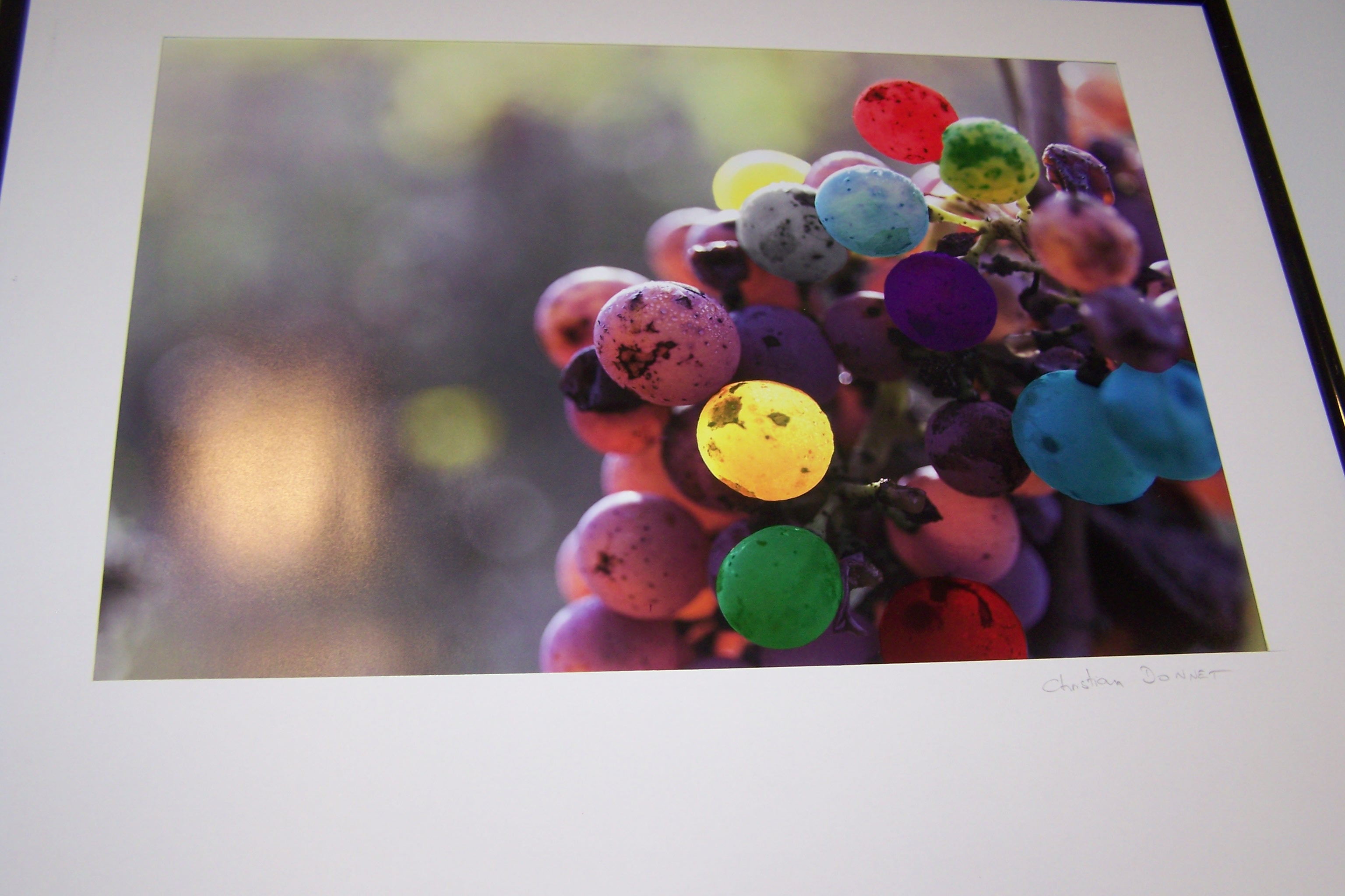 savearts galerie expo photo gascogne mauv jardin de jeanne homps 019.JPG