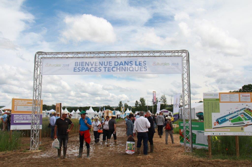 l'entrée.jpg
