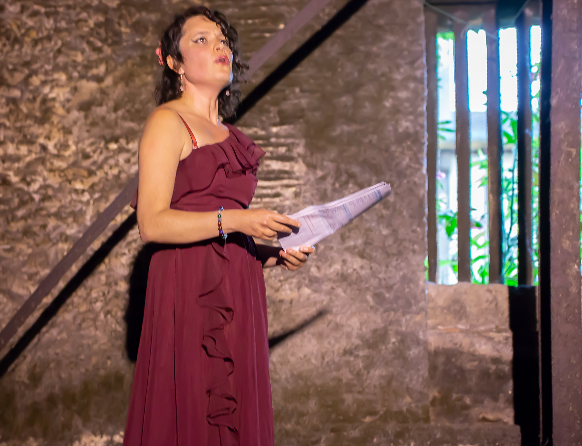 9 La chanteuse animatrice 1bis 150618.jpg