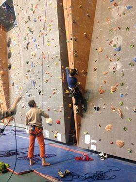 Un mur d'escalade indoor.jpg