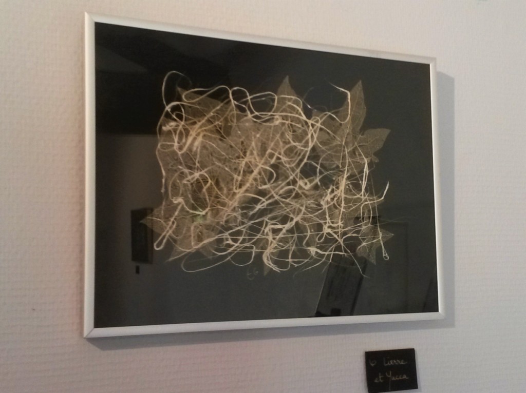 20180624_121109.jpg