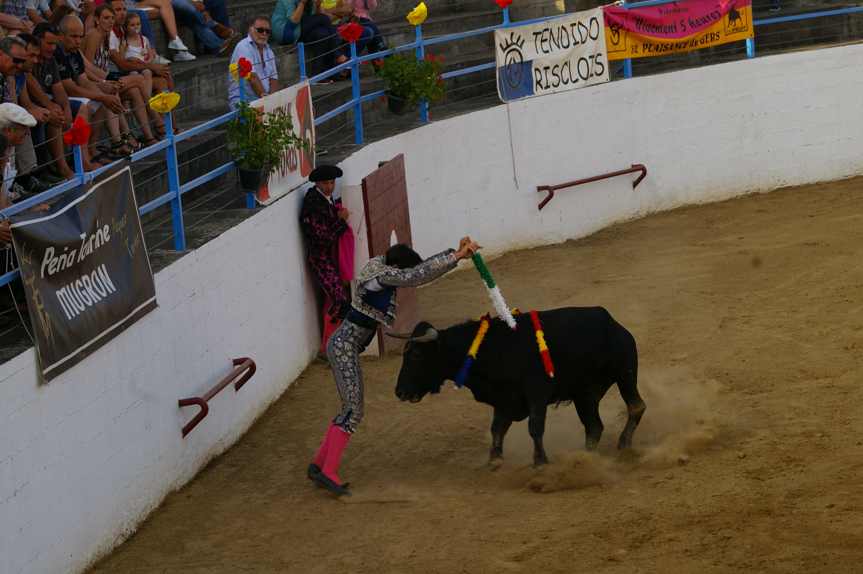 IMGP6529.JPG