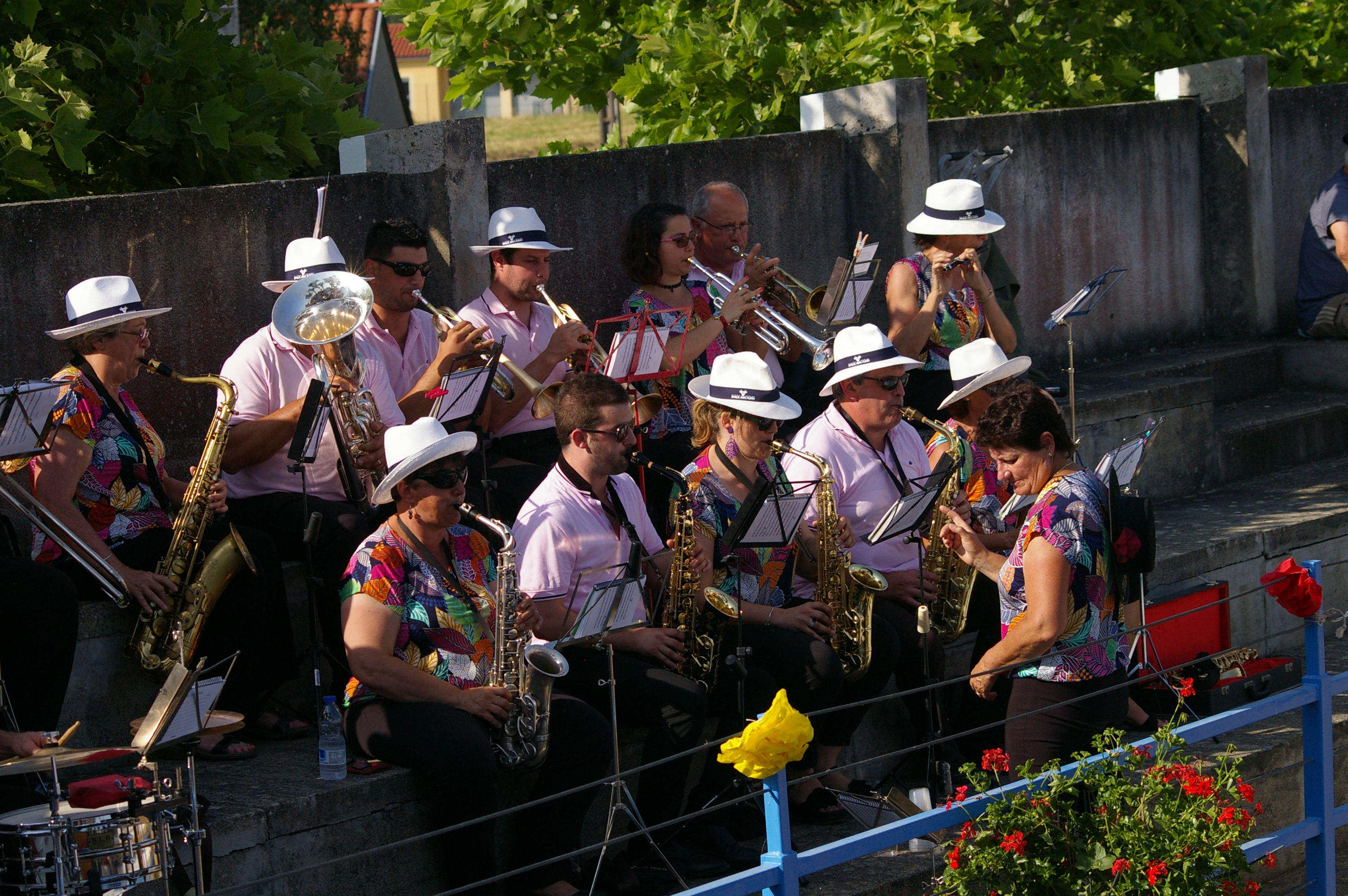 IMGP6496.JPG