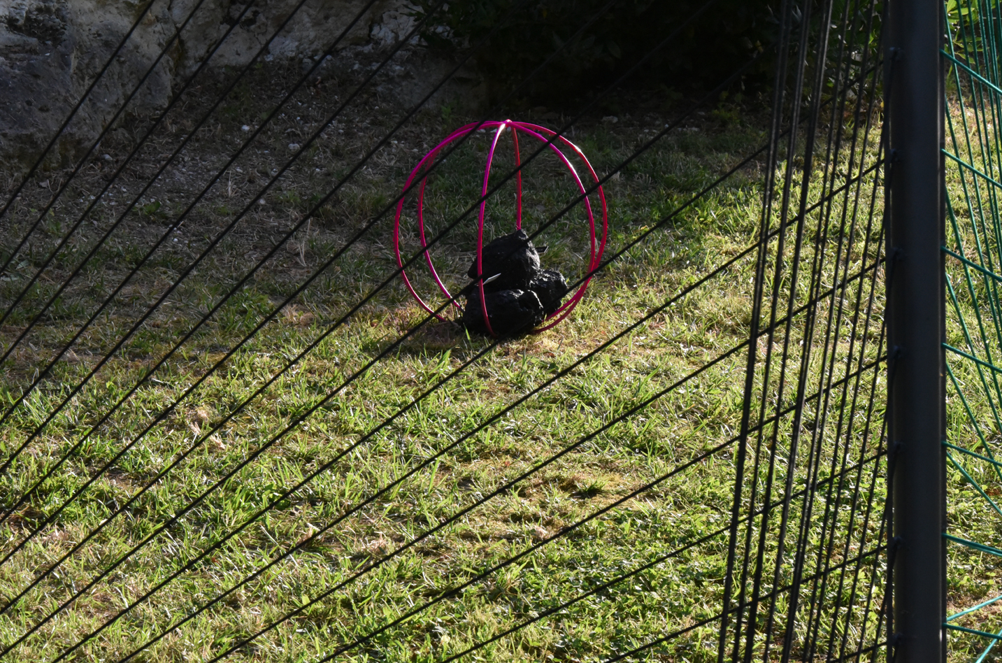DSC_0724 1 72.jpg