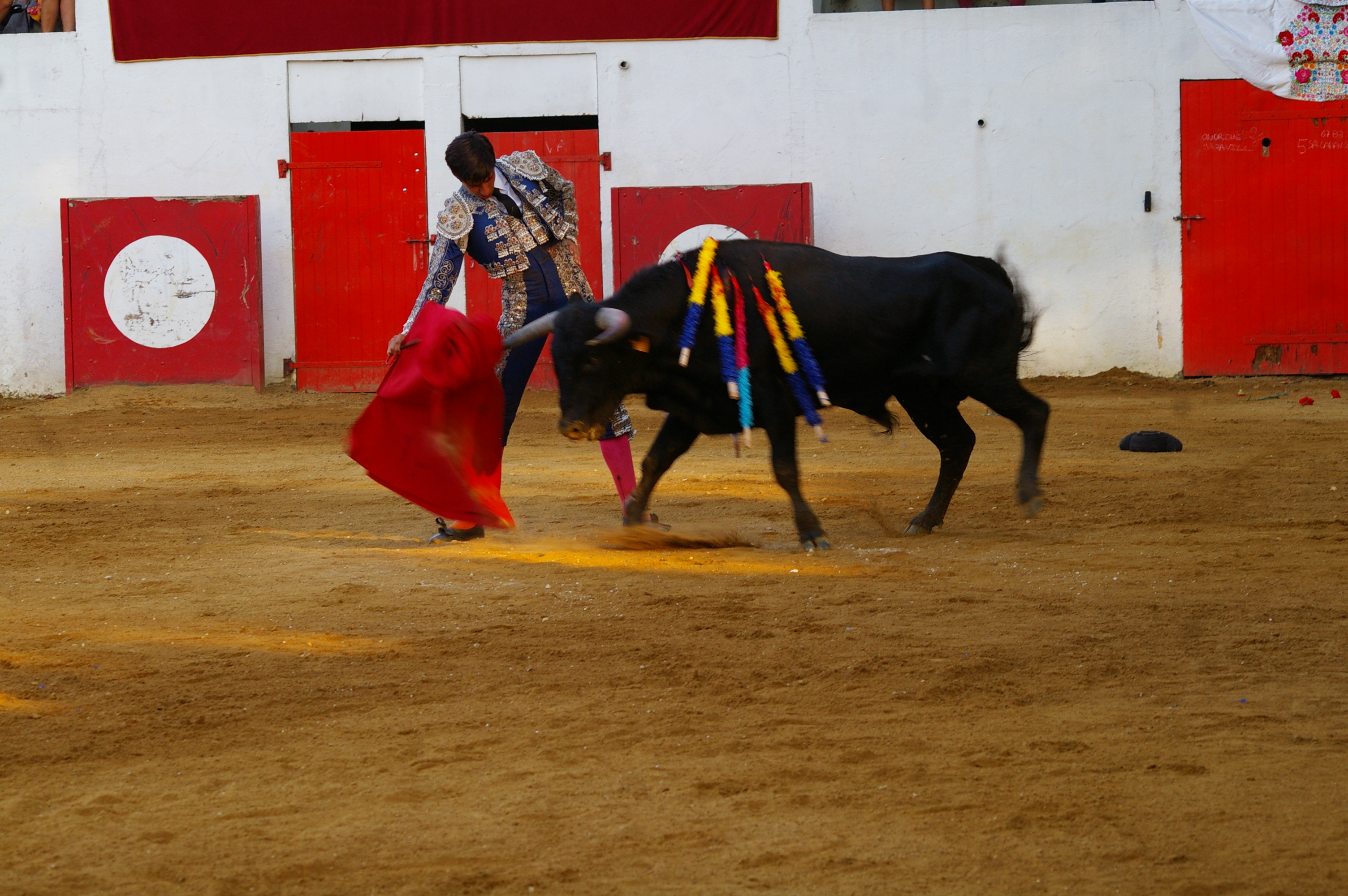 IMGP6619.JPG