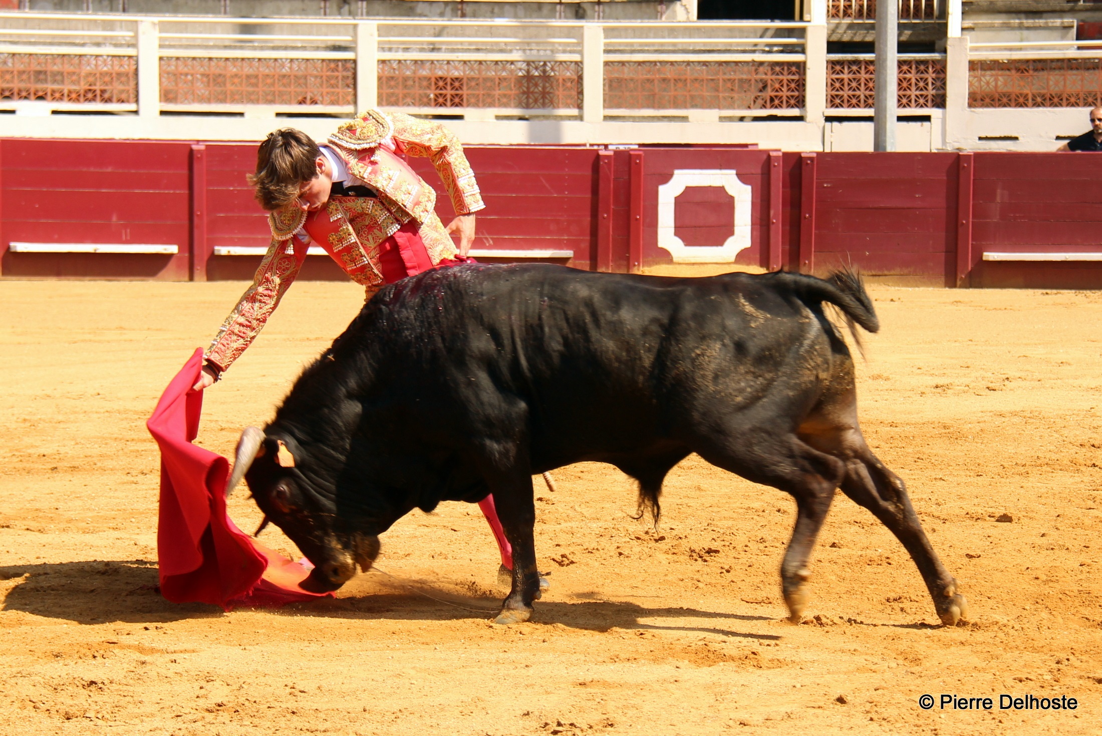 molina.jpg