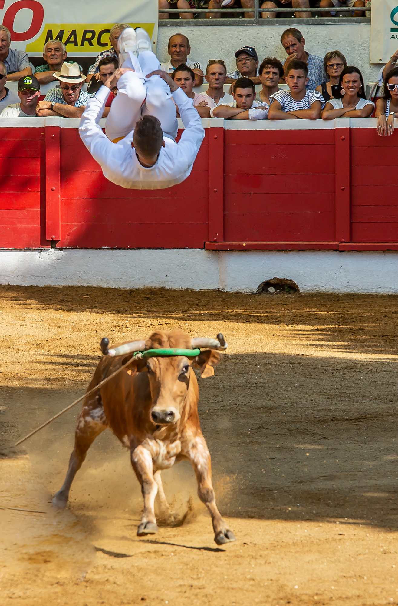 4 Saut périlleux 1bis 140718.jpg