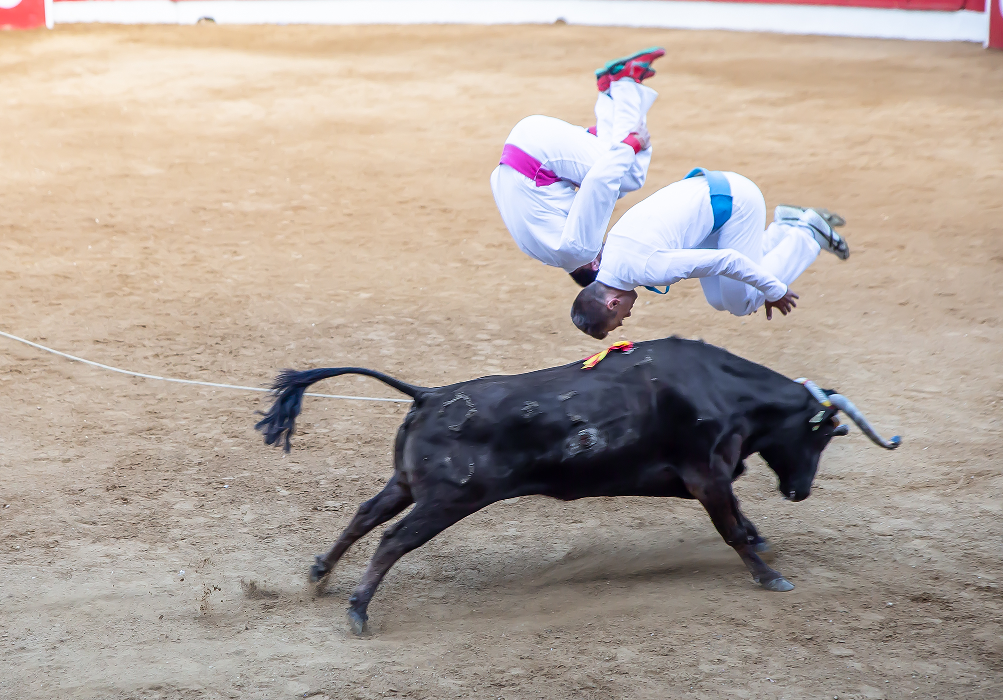 6 Double saut périlleux 1bis 140718.jpg
