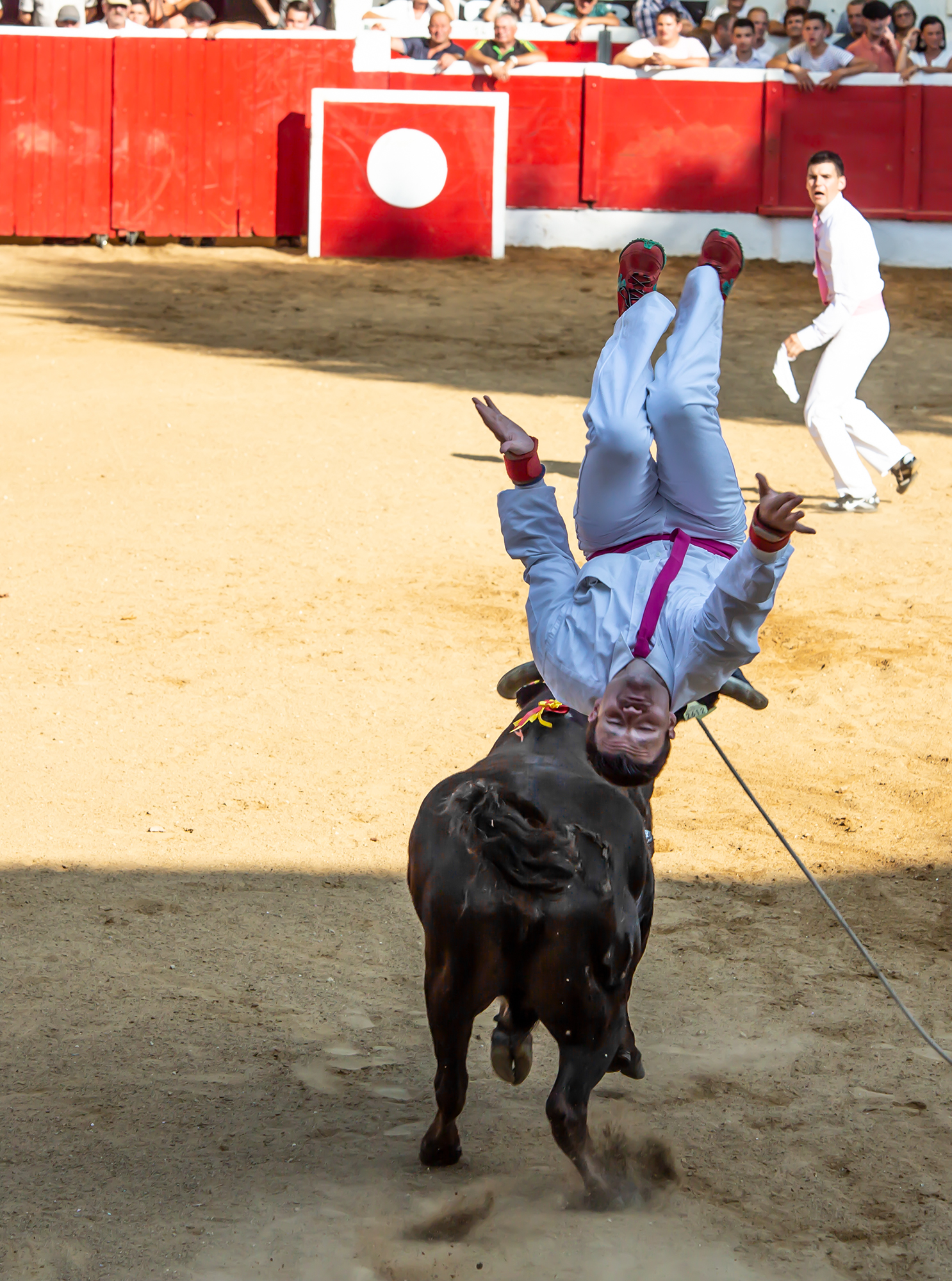 5 Saut périlleux 1bis 140718.jpg